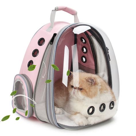 best hiking backpack for cats.